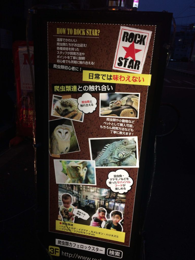 爬虫類カフェ ROCK STAR